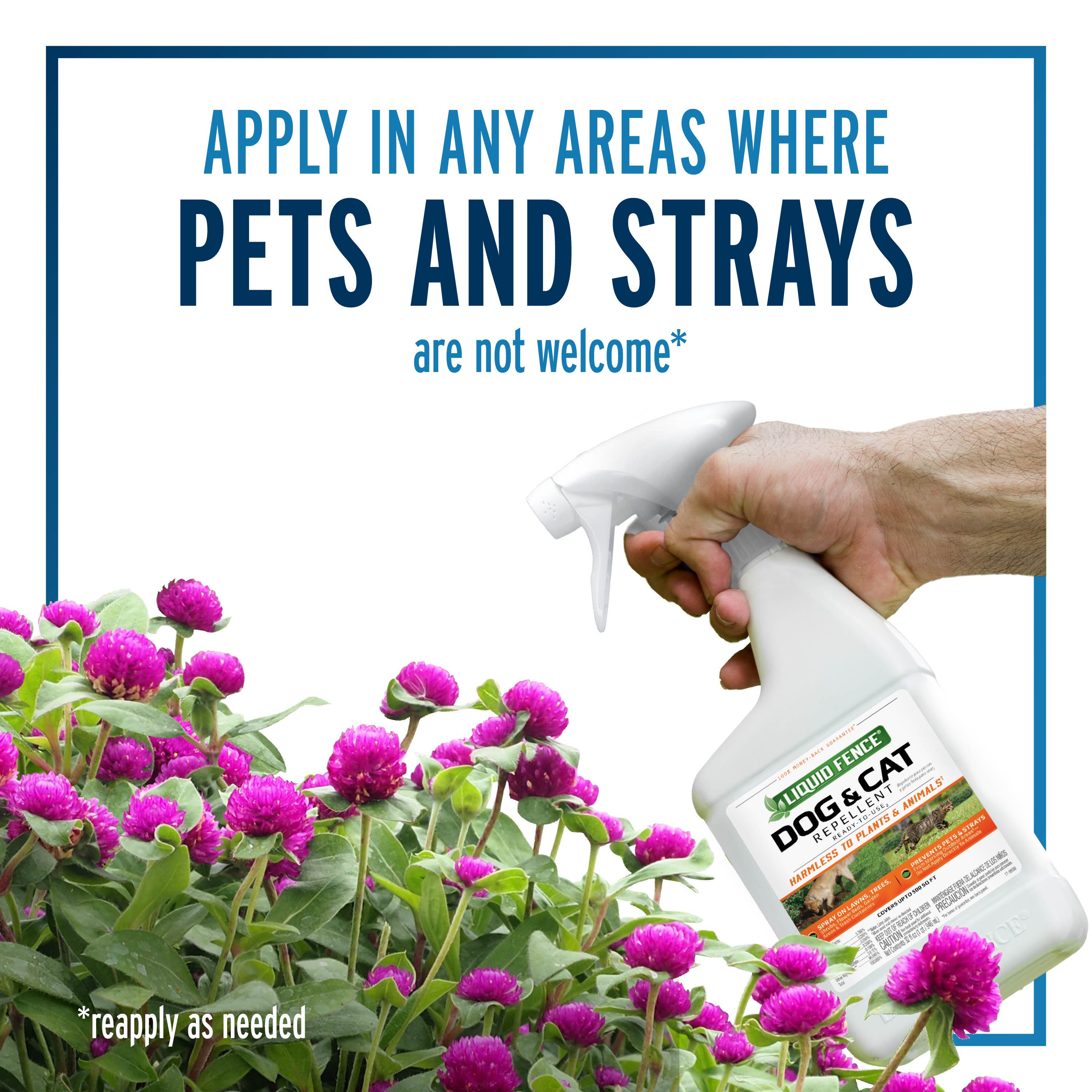 apply in areas where pets and strays are not welcome
